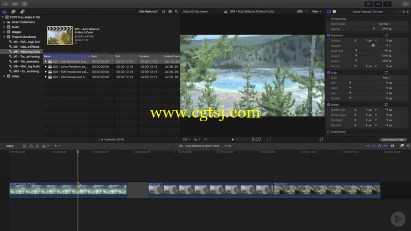 Final Cut Pro X剪辑非线基础核心训练视频教程的图片1