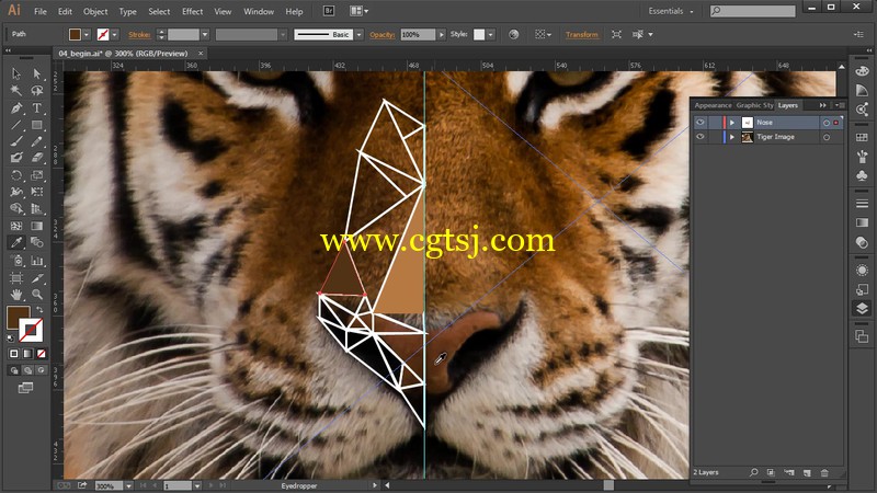 Illustrator创建多边形动物肖像视频教程的图片1