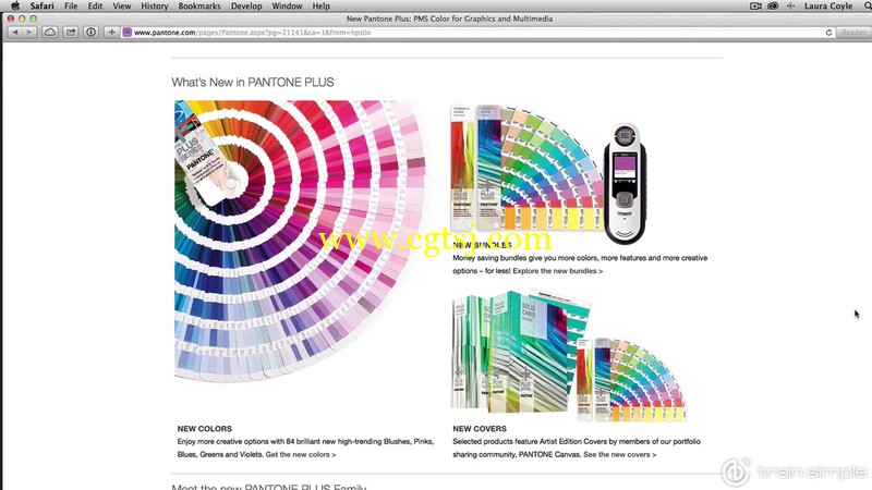 lllustrator CC简单着色的艺术品视频教程的图片2