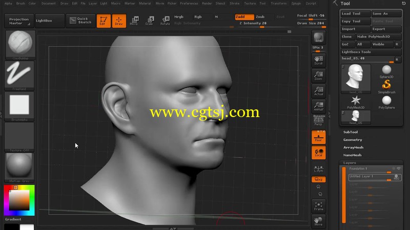 Zbrush精细人脸塑造实例训练视频教程第一季的图片3