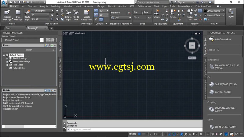 AutoCAD Plant 3D基础核心训练视频教程之项目管理的图片2