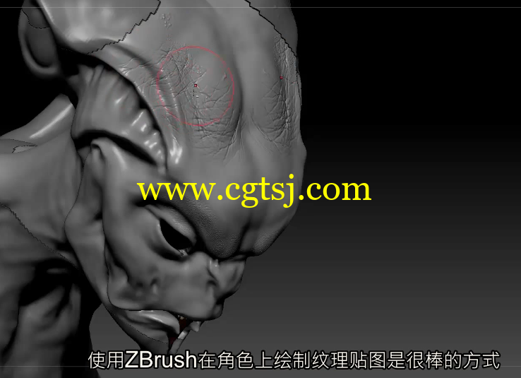 ZBrush 4R8三维雕刻技术全面核心训练视频教程(中文字幕)的图片6