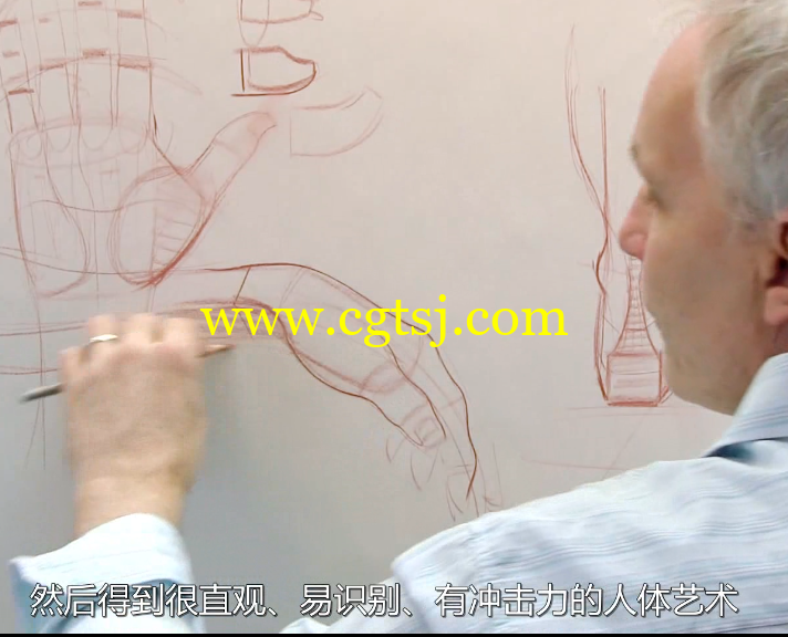 人体结构绘画训练大师班视频教程(中文字幕)的图片2