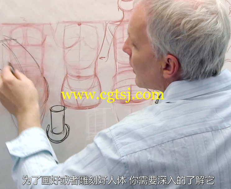 人体结构绘画训练大师班视频教程(中文字幕)的图片3