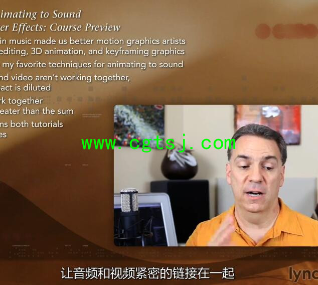 AE音频特效编辑制作视频教程(中文字幕)的图片12