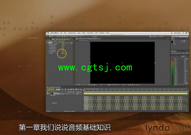 AE音频特效编辑制作视频教程(中文字幕)的图片2
