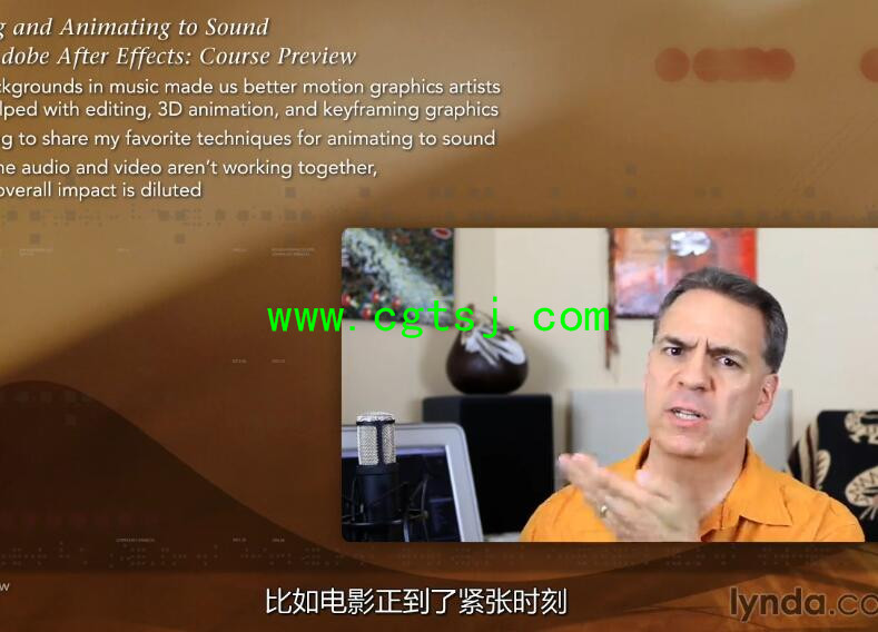 AE音频特效编辑制作视频教程(中文字幕)的图片8