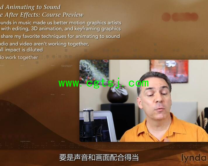 AE音频特效编辑制作视频教程(中文字幕)的图片9