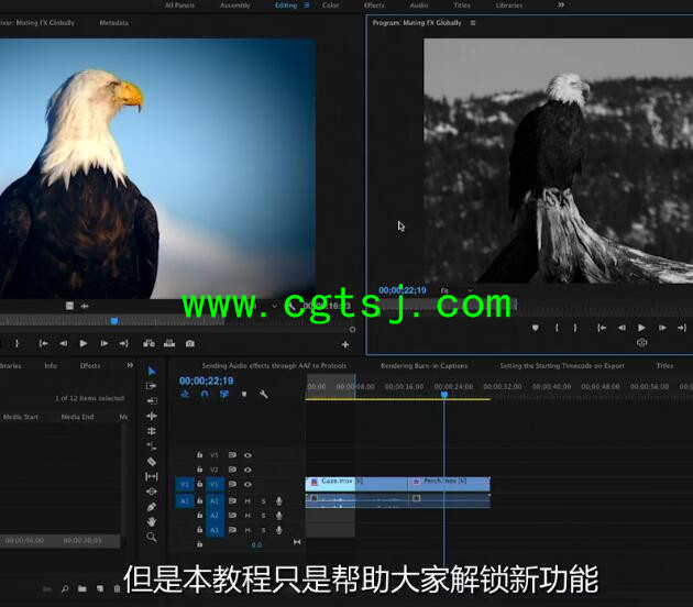 Premiere Pro CC 2017新功能训练视频教程(中文字幕)的图片5