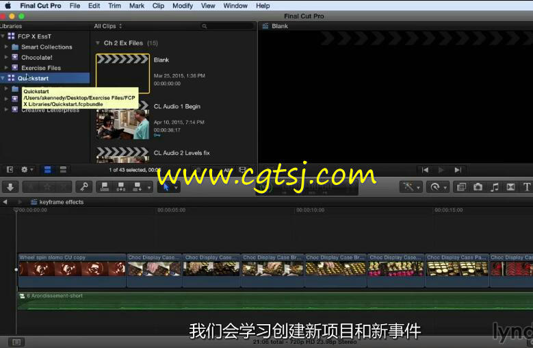 Final Cut Pro 10.2.x基础入门训练视频教程(中文字幕)的图片2