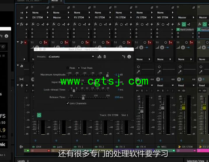影视后期制作音频音效处理技术视频教程(中文字幕)的图片6