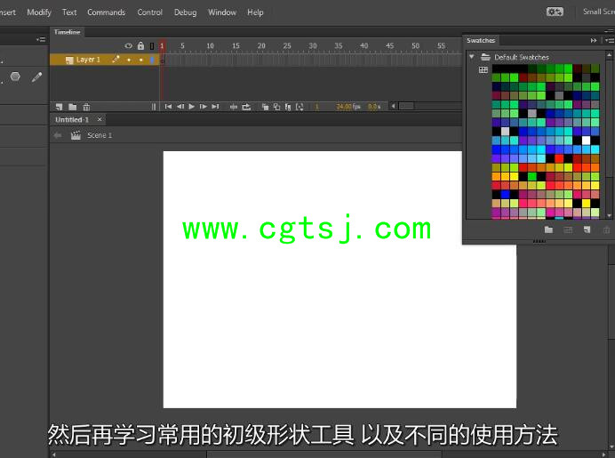 Flash CC基础入门训练视频教程(中文字幕)的图片2