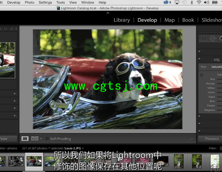 Lightroom CC基础核心训练视频教程(中文字幕)的图片4