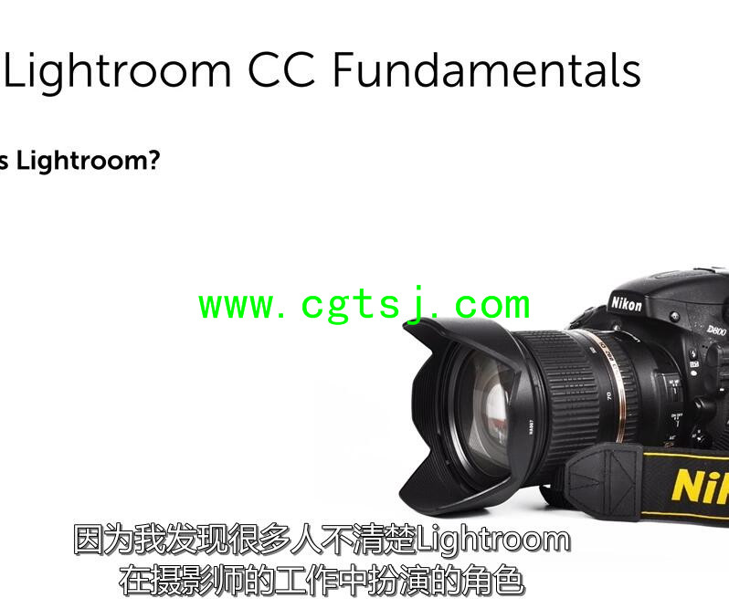Lightroom CC基础核心训练视频教程(中文字幕)的图片5