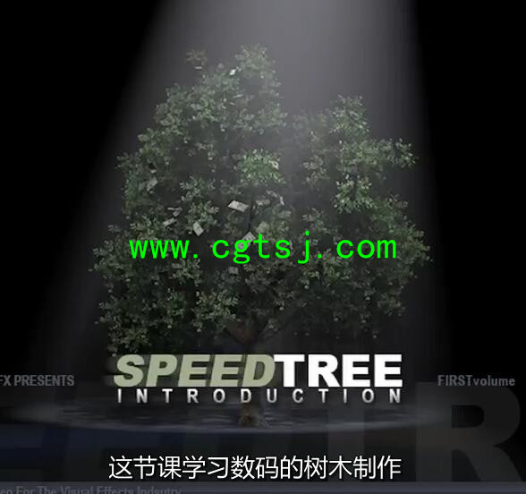 SpeedTree树木制作入门视频教程(中文字幕)的图片8