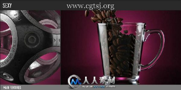 CGTSJ